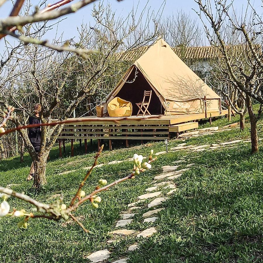 The Far End Surf House - Breakfast Included Eco Surf Villa- 5 Km From Beach Lourinhã Buitenkant foto