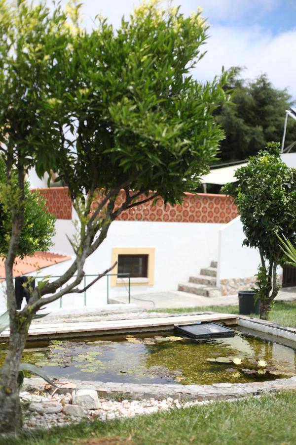 The Far End Surf House - Breakfast Included Eco Surf Villa- 5 Km From Beach Lourinhã Buitenkant foto